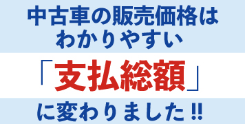 支払総額表示