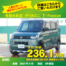 2604-dmini