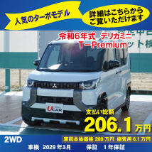 2605-D-mini