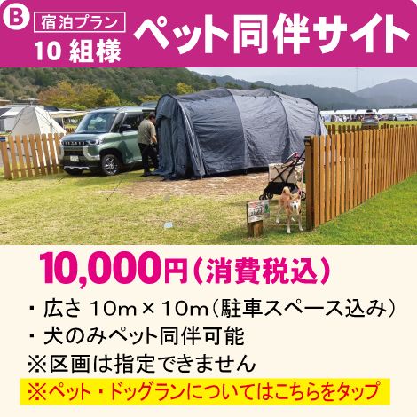 ペット同伴サイト
