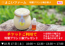Ⓨよこいファーム